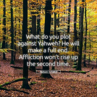 Picture 05 - Nahum 1:9 WEB - What do you plot against Yahweh? He will make a - Bible Verse Picture