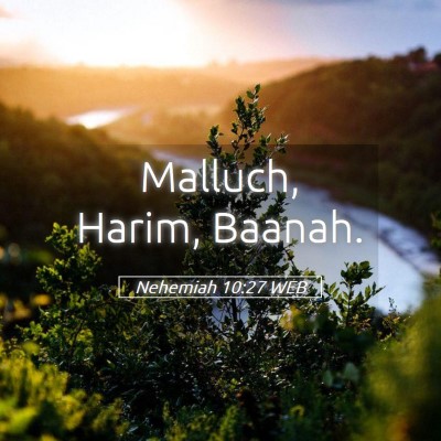 Picture 05 - Nehemiah 10:27 WEB - Malluch, Harim, - Bible Verse Picture