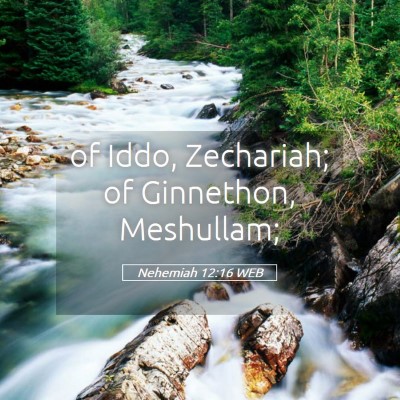 Picture 05 - Nehemiah 12:16 WEB - of Iddo, Zechariah; of Ginnethon, - Bible Verse Picture