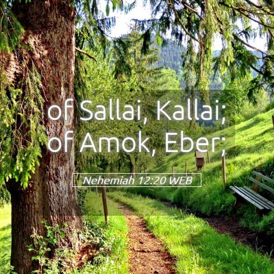 Picture 05 - Nehemiah 12:20 WEB - of Sallai, Kallai; of Amok, - Bible Verse Picture