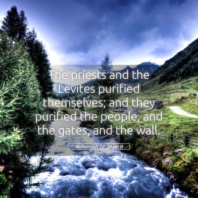 Picture 05 - Nehemiah 12:30 WEB - The priests and the Levites purified themselves; - Bible Verse Picture