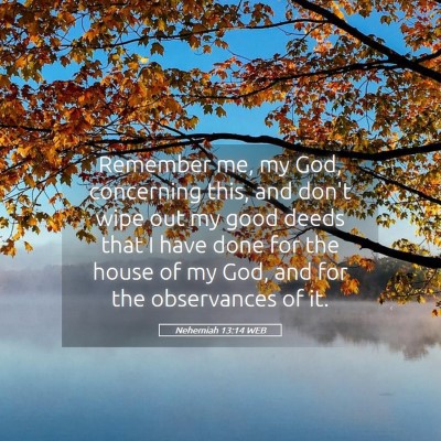 Picture 05 - Nehemiah 13:14 WEB - Remember me, my God, concerning this, and don't - Bible Verse Picture