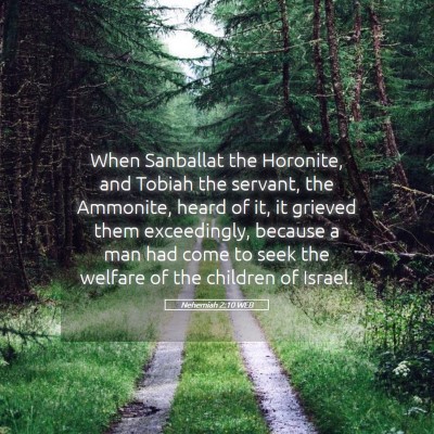 Picture 05 - Nehemiah 2:10 WEB - When Sanballat the Horonite, and Tobiah the - Bible Verse Picture