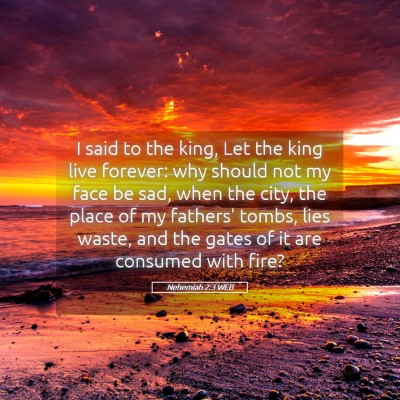 Picture 05 - Nehemiah 2:3 WEB - I said to the king, Let the king live forever: - Bible Verse Picture