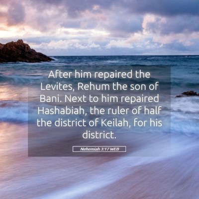 Picture 05 - Nehemiah 3:17 WEB - After him repaired the Levites, Rehum the son of - Bible Verse Picture