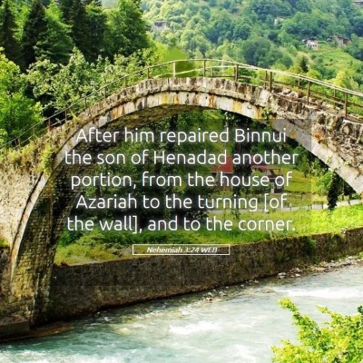 Picture 05 - Nehemiah 3:24 WEB - After him repaired Binnui the son of Henadad - Bible Verse Picture