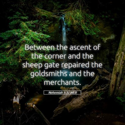Picture 05 - Nehemiah 3:32 WEB - Between the ascent of the corner and the sheep - Bible Verse Picture