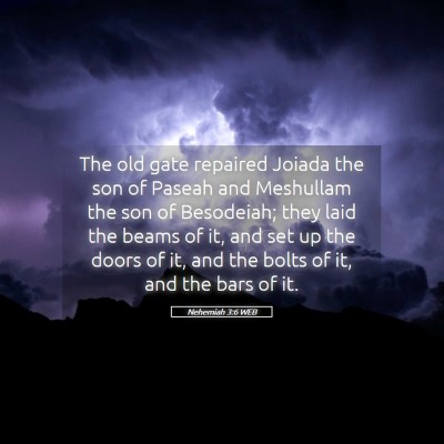 Picture 05 - Nehemiah 3:6 WEB - The old gate repaired Joiada the son of Paseah - Bible Verse Picture