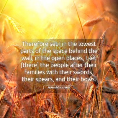 Picture 05 - Nehemiah 4:13 WEB - Therefore set I in the lowest parts of the space - Bible Verse Picture