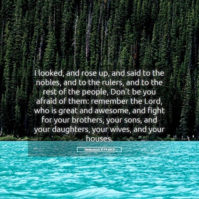 Picture 05 - Nehemiah 4:14 WEB - I looked, and rose up, and said to the nobles, - Bible Verse Picture