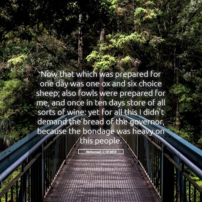 Picture 05 - Nehemiah 5:18 WEB - Now that which was prepared for one day was one - Bible Verse Picture