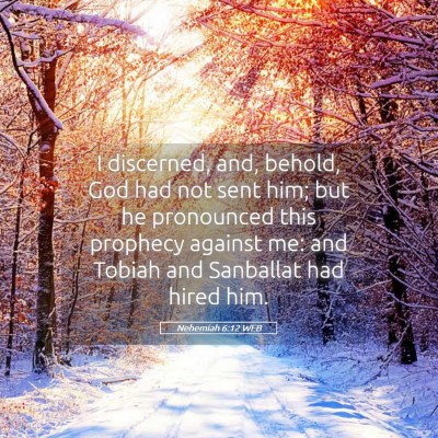 Picture 05 - Nehemiah 6:12 WEB - I discerned, and, behold, God had not sent him; - Bible Verse Picture