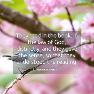 Picture 05 - Nehemiah 8:8 WEB - They read in the book, in the law of God, - Bible Verse Picture