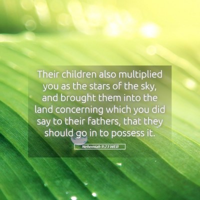 Picture 05 - Nehemiah 9:23 WEB - Their children also multiplied you as the stars - Bible Verse Picture