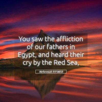 Picture 05 - Nehemiah 9:9 WEB - You saw the affliction of our fathers in Egypt, - Bible Verse Picture
