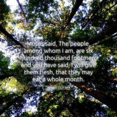 Picture 05 - Numbers 11:21 WEB - Moses said, The people, among whom I am, are six - Bible Verse Picture