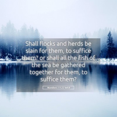 Picture 05 - Numbers 11:22 WEB - Shall flocks and herds be slain for them, to - Bible Verse Picture