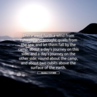 Picture 05 - Numbers 11:31 WEB - There went forth a wind from Yahweh, and brought - Bible Verse Picture