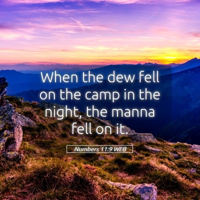 Picture 05 - Numbers 11:9 WEB - When the dew fell on the camp in the night, the - Bible Verse Picture