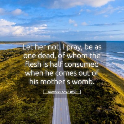 Picture 05 - Numbers 12:12 WEB - Let her not, I pray, be as one dead, of whom the - Bible Verse Picture