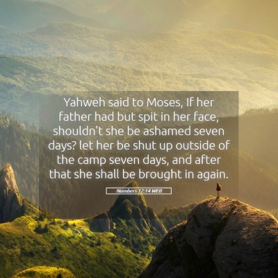 Picture 05 - Numbers 12:14 WEB - Yahweh said to Moses, If her father had but spit - Bible Verse Picture