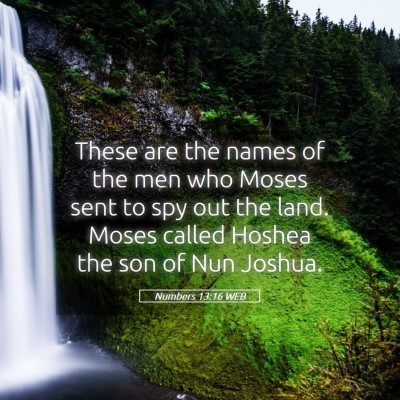 Picture 05 - Numbers 13:16 WEB - These are the names of the men who Moses sent to - Bible Verse Picture