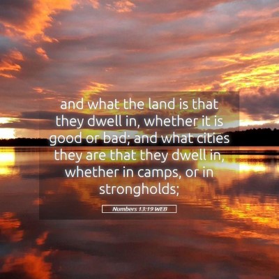 Picture 05 - Numbers 13:19 WEB - and what the land is that they dwell in, whether - Bible Verse Picture