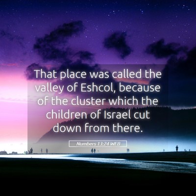 Picture 05 - Numbers 13:24 WEB - That place was called the valley of Eshcol, - Bible Verse Picture