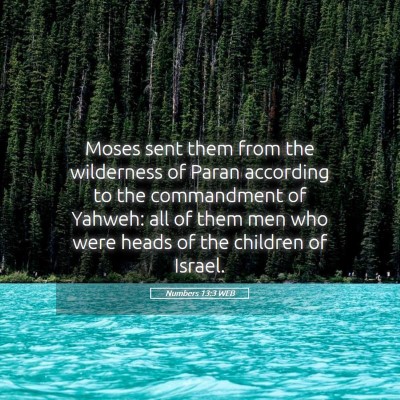 Picture 05 - Numbers 13:3 WEB - Moses sent them from the wilderness of Paran - Bible Verse Picture
