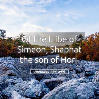 Picture 05 - Numbers 13:5 WEB - Of the tribe of Simeon, Shaphat the son of - Bible Verse Picture