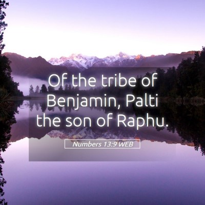 Picture 05 - Numbers 13:9 WEB - Of the tribe of Benjamin, Palti the son of - Bible Verse Picture