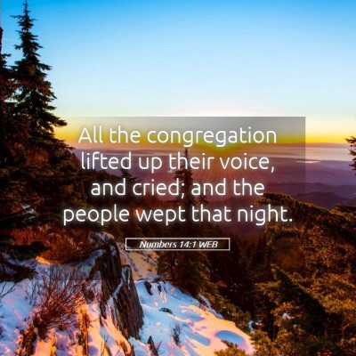 Picture 05 - Numbers 14:1 WEB - All the congregation lifted up their voice, and - Bible Verse Picture
