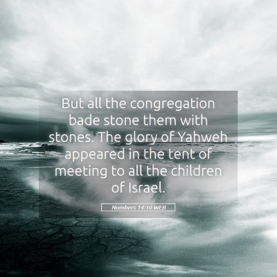 Picture 05 - Numbers 14:10 WEB - But all the congregation bade stone them with - Bible Verse Picture