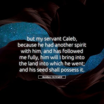 Picture 05 - Numbers 14:24 WEB - but my servant Caleb, because he had another - Bible Verse Picture