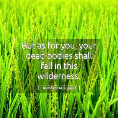 Picture 05 - Numbers 14:32 WEB - But as for you, your dead bodies shall fall in - Bible Verse Picture