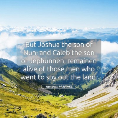 Picture 05 - Numbers 14:38 WEB - But Joshua the son of Nun, and Caleb the son of - Bible Verse Picture