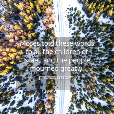 Picture 05 - Numbers 14:39 WEB - Moses told these words to all the children of - Bible Verse Picture