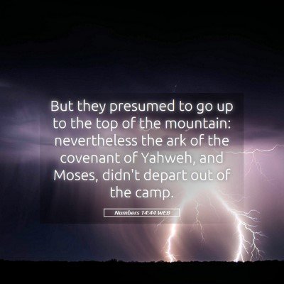 Picture 05 - Numbers 14:44 WEB - But they presumed to go up to the top of the - Bible Verse Picture