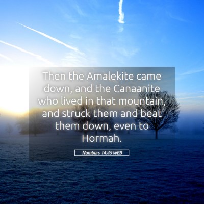 Picture 05 - Numbers 14:45 WEB - Then the Amalekite came down, and the Canaanite - Bible Verse Picture