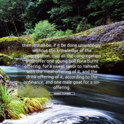 Picture 05 - Numbers 15:24 WEB - then it shall be, if it be done unwittingly, - Bible Verse Picture