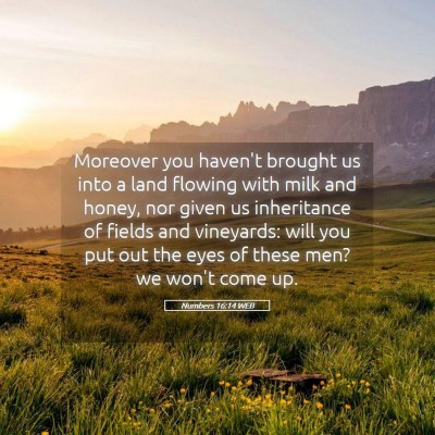 Picture 05 - Numbers 16:14 WEB - Moreover you haven't brought us into a land - Bible Verse Picture