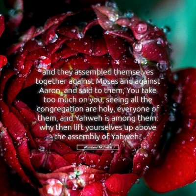 Picture 05 - Numbers 16:3 WEB - and they assembled themselves together against - Bible Verse Picture