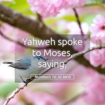 Picture 05 - Numbers 16:36 WEB - Yahweh spoke to Moses, - Bible Verse Picture