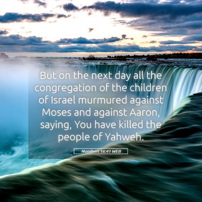 Picture 05 - Numbers 16:41 WEB - But on the next day all the congregation of the - Bible Verse Picture