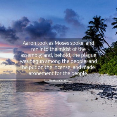 Picture 05 - Numbers 16:47 WEB - Aaron took as Moses spoke, and ran into the midst - Bible Verse Picture