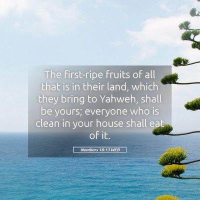 Picture 05 - Numbers 18:13 WEB - The first-ripe fruits of all that is in their - Bible Verse Picture