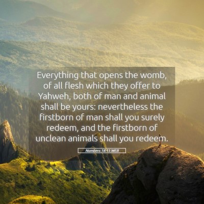 Picture 05 - Numbers 18:15 WEB - Everything that opens the womb, of all flesh - Bible Verse Picture