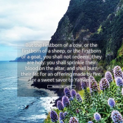 Picture 05 - Numbers 18:17 WEB - But the firstborn of a cow, or the firstborn of a - Bible Verse Picture