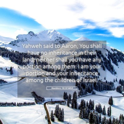 Picture 05 - Numbers 18:20 WEB - Yahweh said to Aaron, You shall have no - Bible Verse Picture