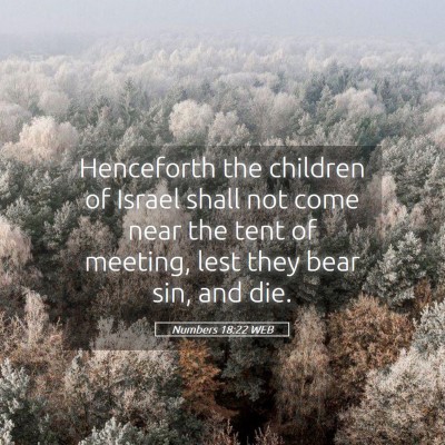 Picture 05 - Numbers 18:22 WEB - Henceforth the children of Israel shall not come - Bible Verse Picture